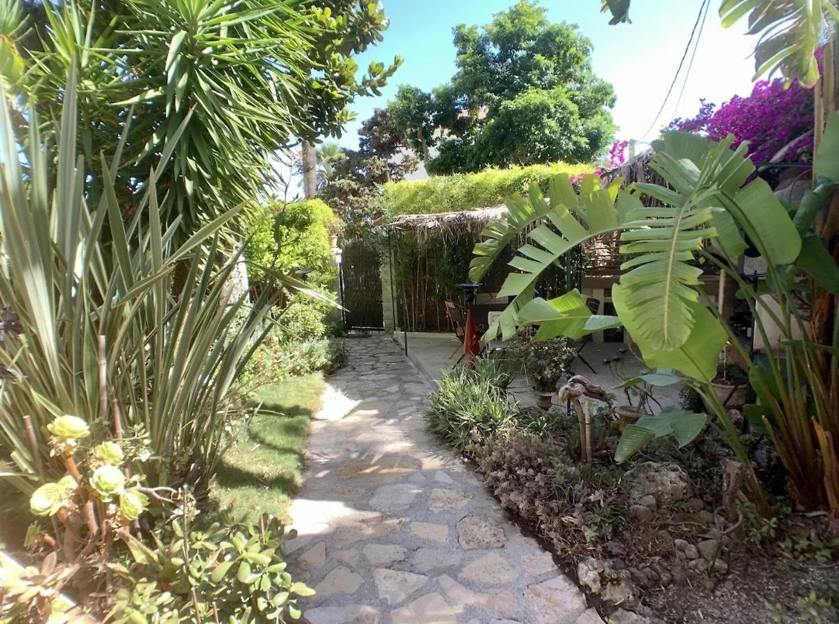 Villa Californie A Cannes France
